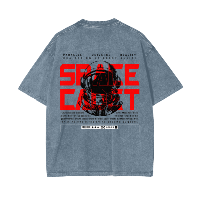 V2.1 Space Cadet Snow Washed T-Shirt