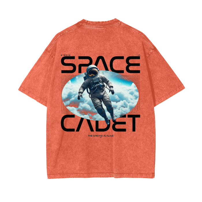 V2.2 Space Cadet Snow Washed T-Shirt